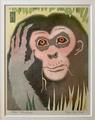 Chimpanzee by Morris Cox
